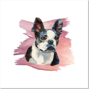 Boston Terrier Posters and Art